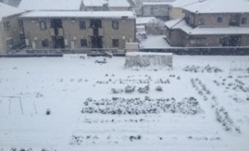 東京に大雪が降った週 東京に大雪が降った週