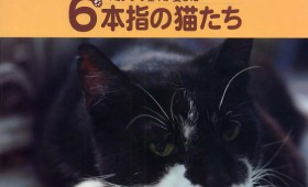 連載◆野間 勤「本のいもづる」第七回「ジェネレーション」 連載◆野間 勤「本のいもづる」第七回「ジェネレーション」