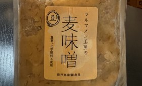 連載◆ノマアキコ「続・さくらじまBENBEN日記」「第101回…目のプロポーズ！ って言いたかっただけ！ BENBEN‼︎」